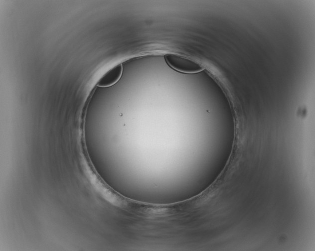 X0000113091431200909111016