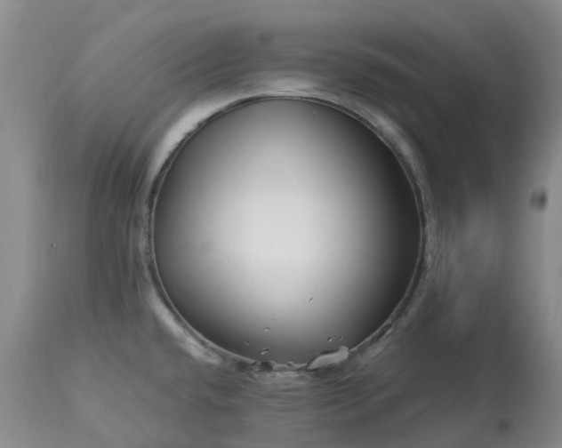 X0000113091432200909111016