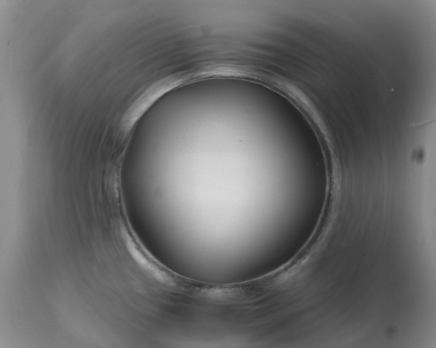 X0000113091433200909111016