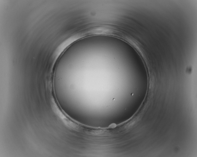 X0000113091434200909111017