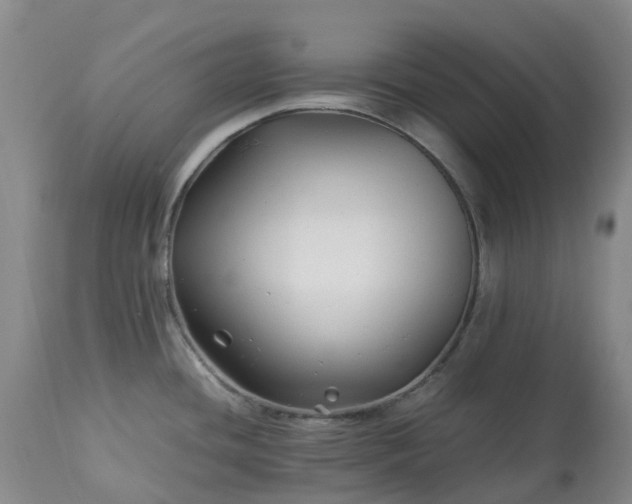 X0000113091436200909111017