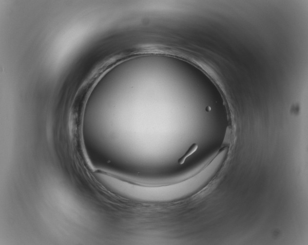 X0000113091438200909111017