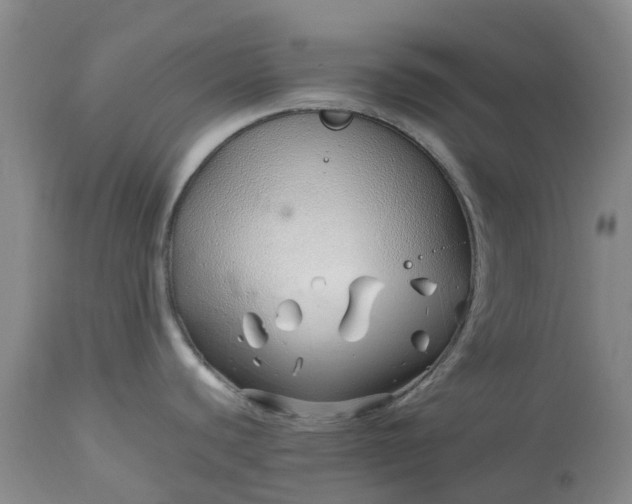 X0000113091440200909111017