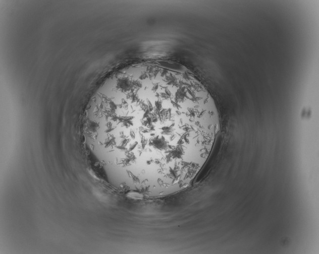 X0000113091441200909111016