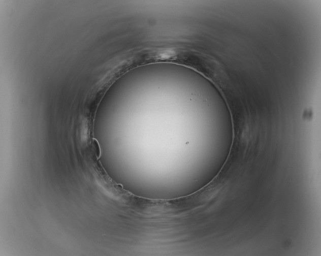 X0000113091442200909111016