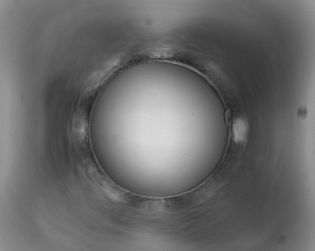 X0000113091444200909111016