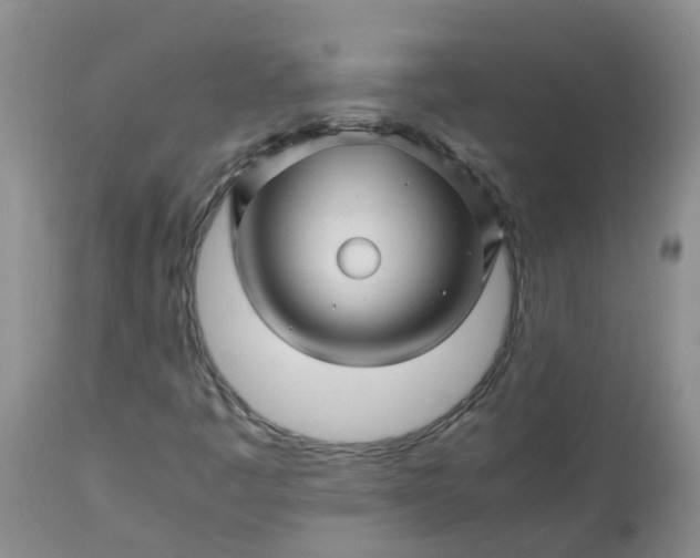 X0000113091445200909111016
