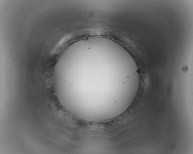 X0000113091446200909111016