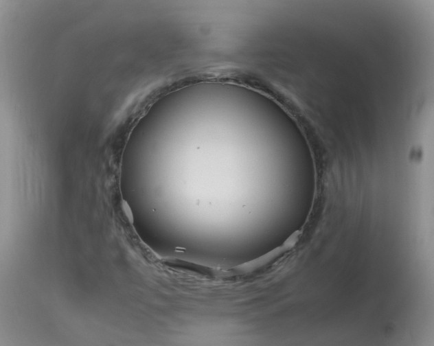 X0000113091447200909111016