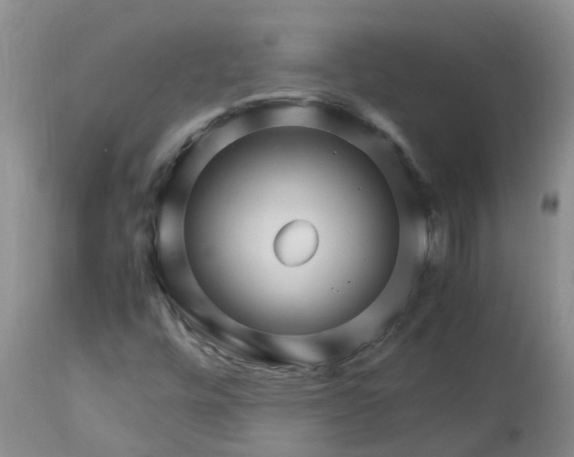 X0000113091448200909111016