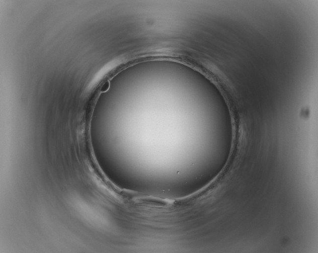 X0000113091450200909111016
