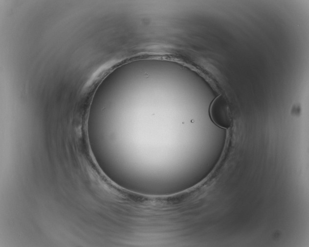 X0000113091451200909111016