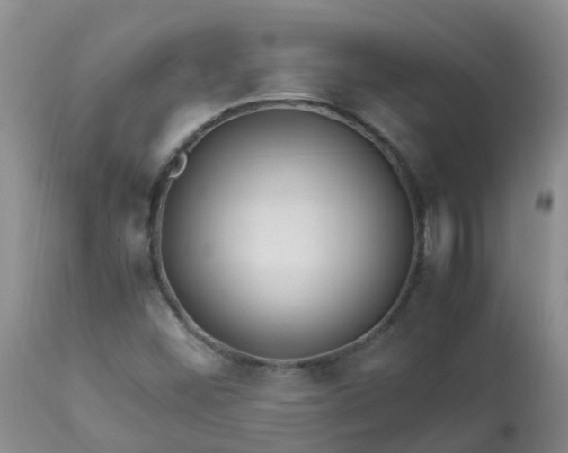 X0000113091452200909111016