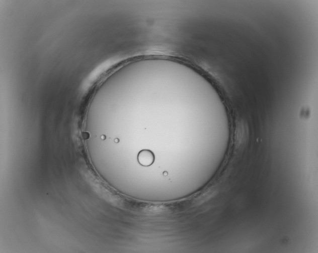 X0000113091454200909111016