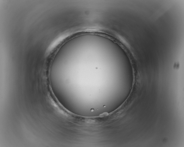 X0000113091456200909111016