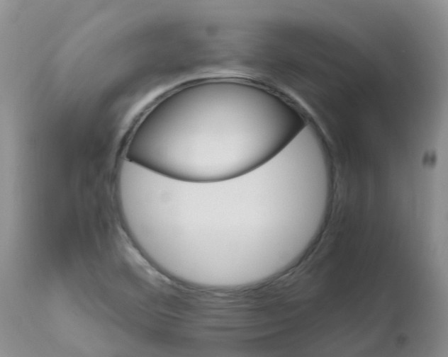 X0000113091460200909111016