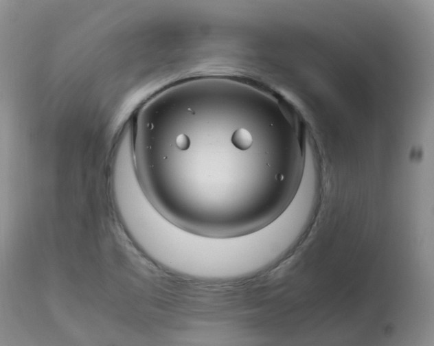 X0000113091461200909111016