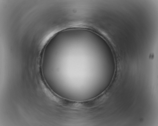 X0000113091463200909111016