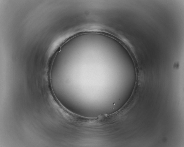 X0000113091464200909111016