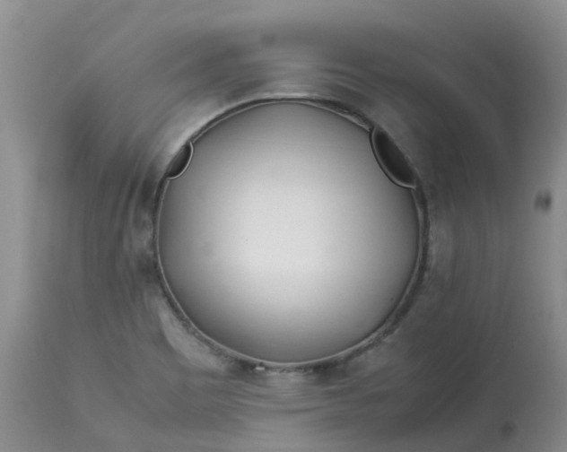 X0000113091465200909111016
