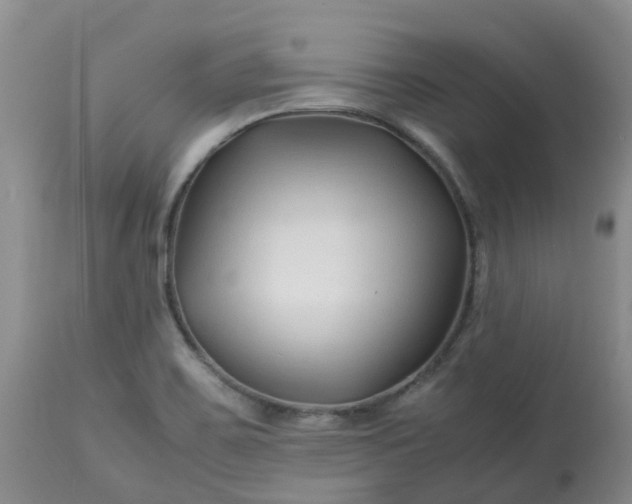 X0000113091467200909111016