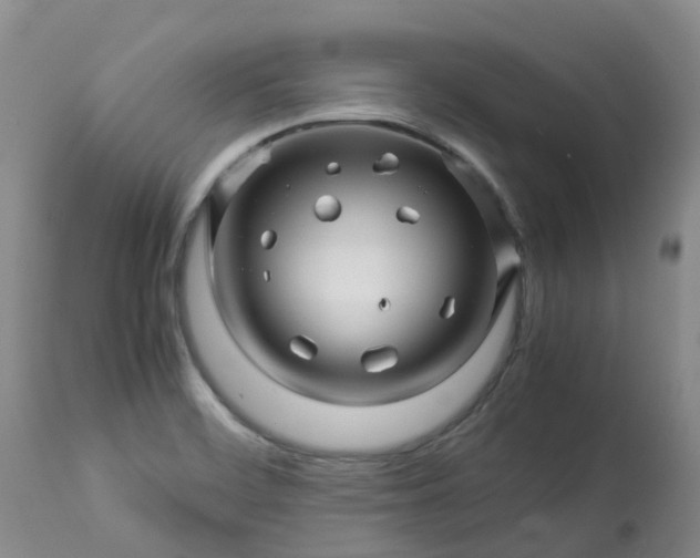X0000113091468200909111016