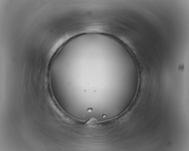 X0000113091469200909111016