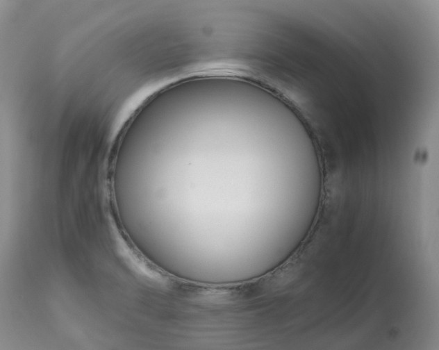 X0000113091470200909111015