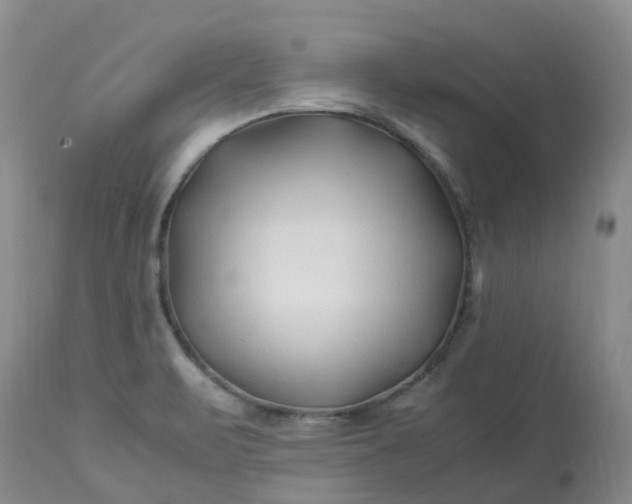 X0000113091471200909111015