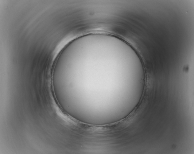 X0000113091474200909111015