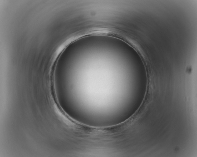 X0000113091475200909111015