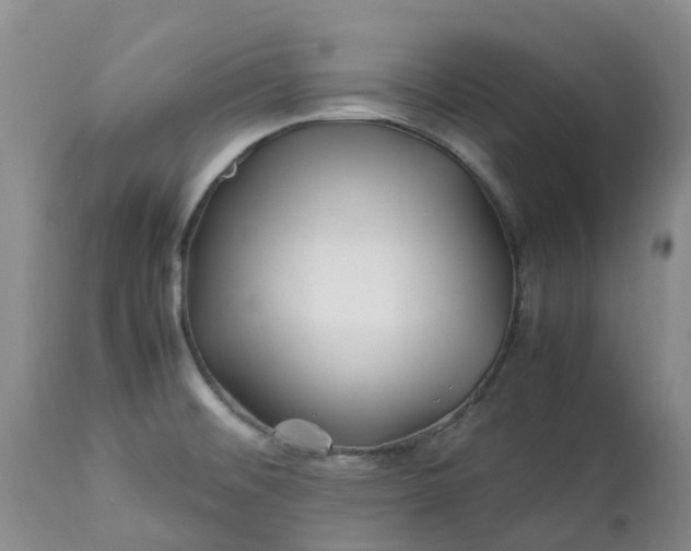 X0000113091476200909111015