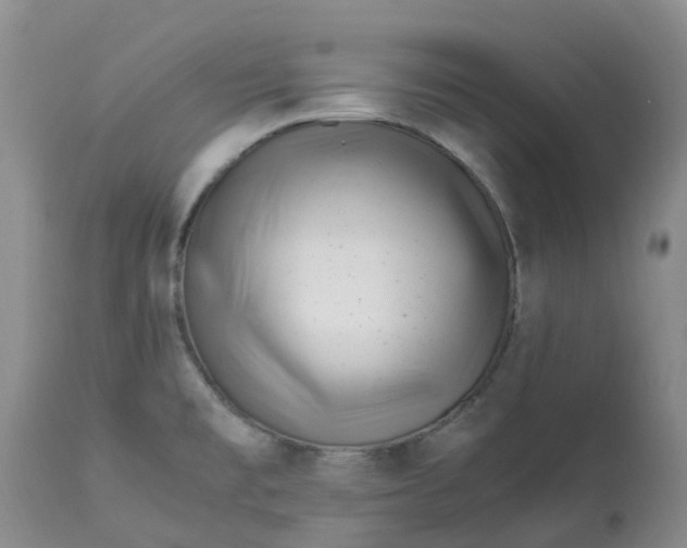 X0000113091477200909111015
