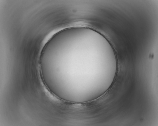 X0000113091478200909111015