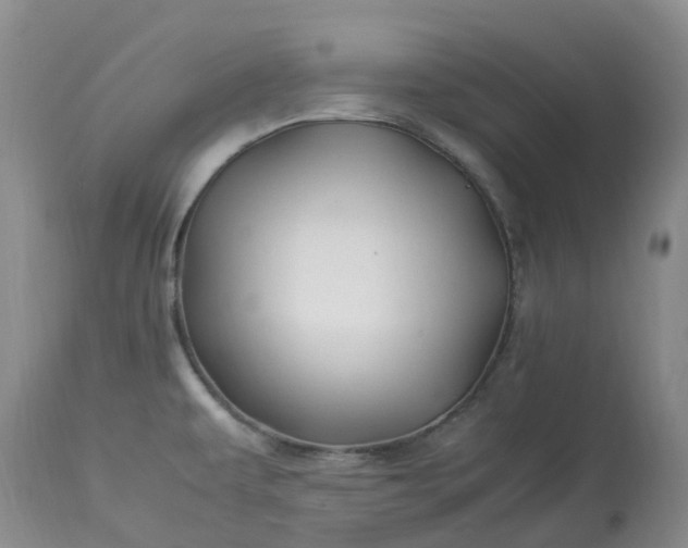 X0000113091479200909111015