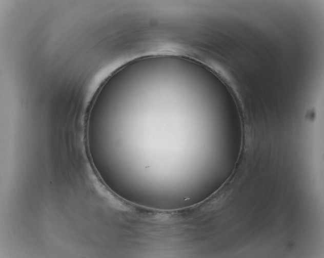 X0000113091480200909111015