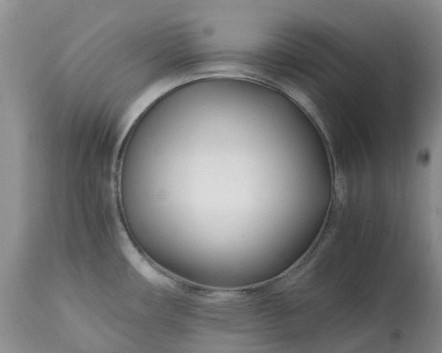 X0000113091482200909111015