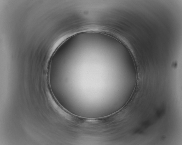 X0000113091483200909111015