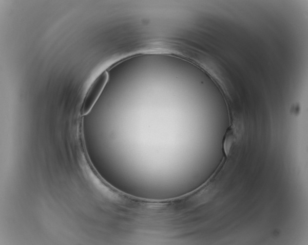 X0000113091484200909111015