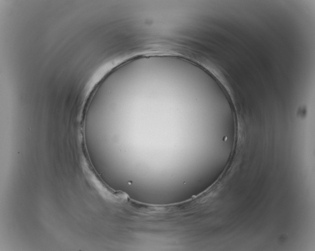 X0000113091485200909111015