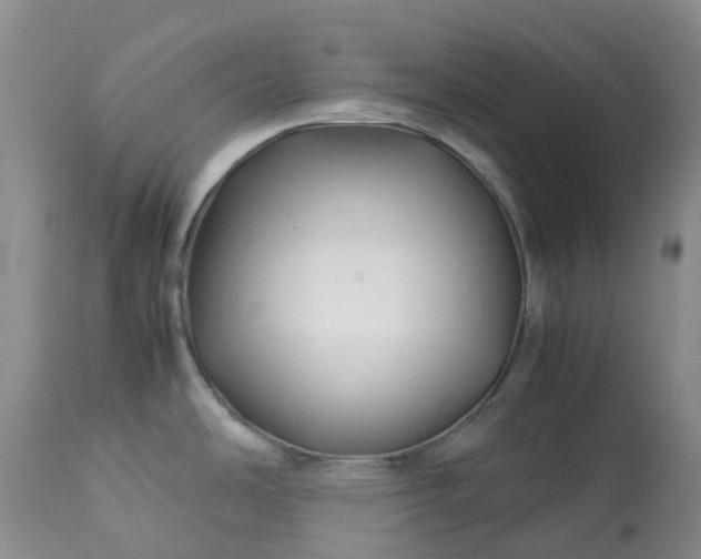 X0000113091486200909111015
