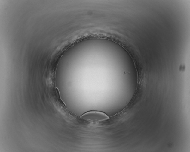 X0000113091490200909111014