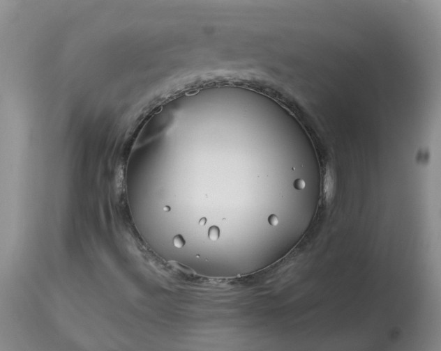 X0000113091492200909111014