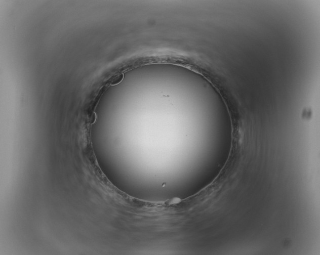 X0000113091493200909111015
