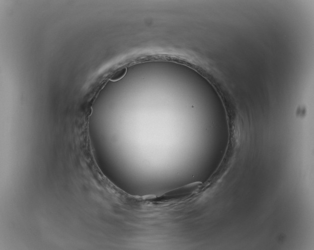 X0000113091494200909111015