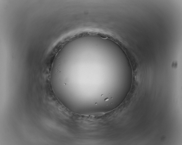 X0000113091495200909111015