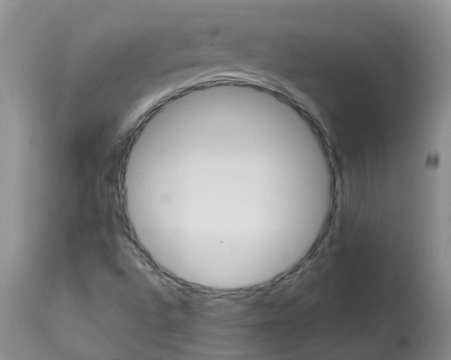 X0000113091496200909111015