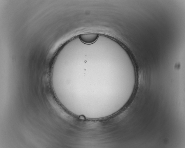 X0000113091498200909111015