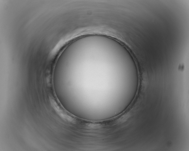 X0000113091499200909111015