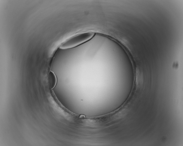 X0000113091500200909111015